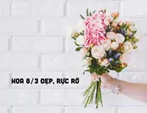 Hoa 8/3 đẹp tặng mẹ yêu